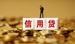 东莞短期哪有个人借贷-东莞短期小额贷款公司-东莞短期私借空放免费上门