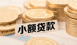 东莞短期身份证贷款平台-东莞短期私人借贷不查征信-东莞短期空放借钱