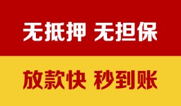 东莞短期小额贷款正规的-东莞短期信用贷款网-东莞短期私人私借